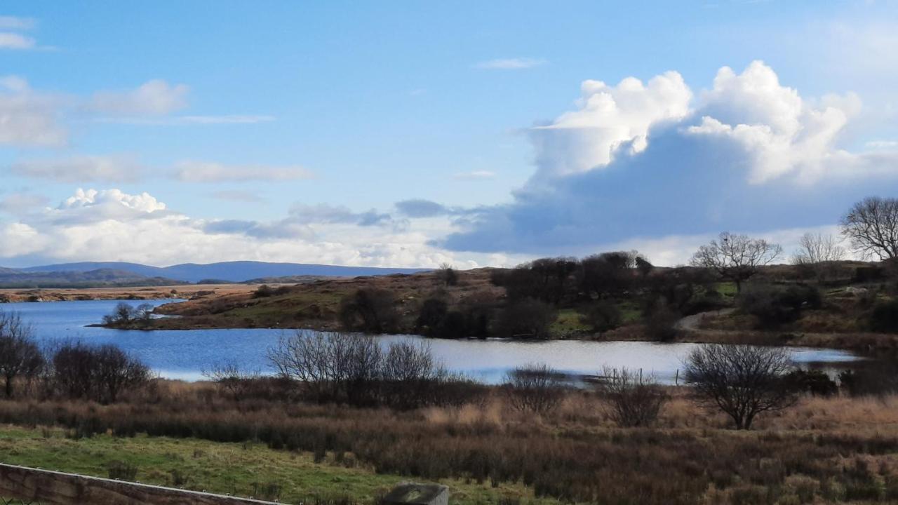 Clifden Wildflower Cottage - Clifden Countryside Lettings エクステリア 写真