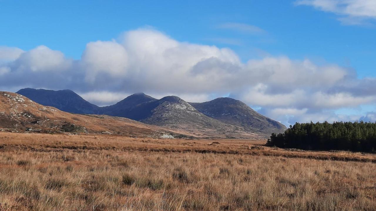 Clifden Wildflower Cottage - Clifden Countryside Lettings エクステリア 写真