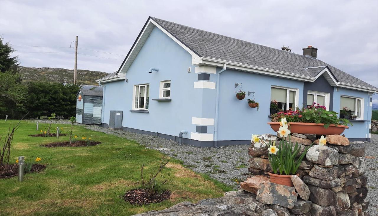 Clifden Wildflower Cottage - Clifden Countryside Lettings エクステリア 写真