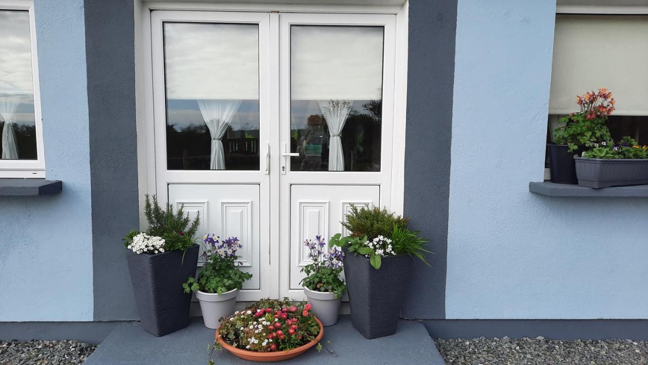 Clifden Wildflower Cottage - Clifden Countryside Lettings エクステリア 写真