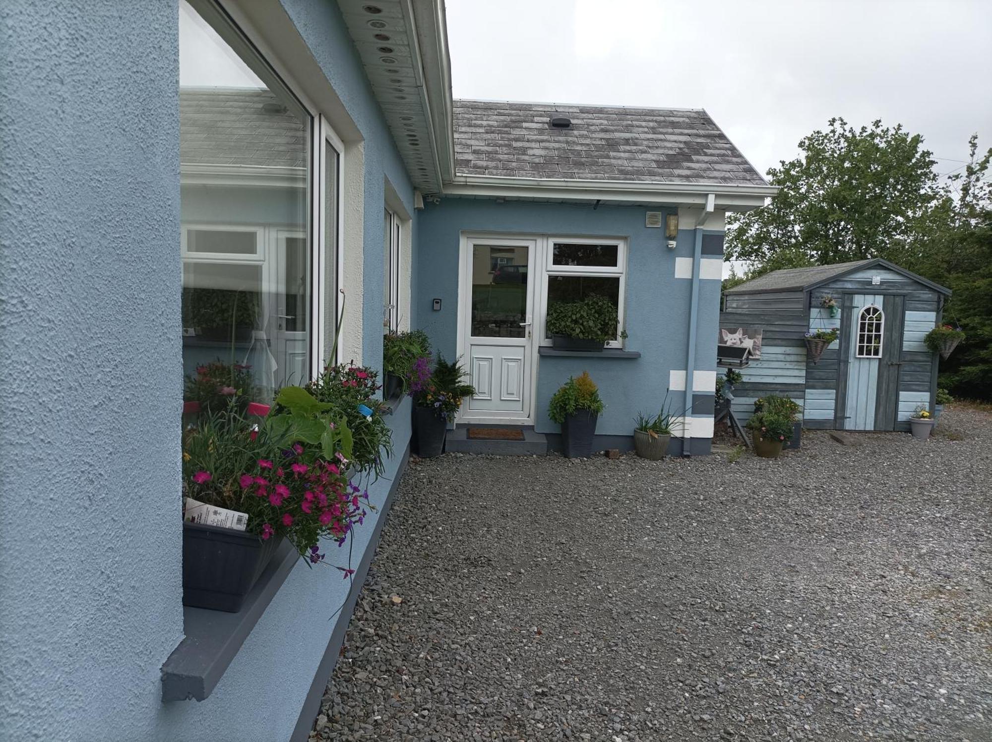 Clifden Wildflower Cottage - Clifden Countryside Lettings エクステリア 写真