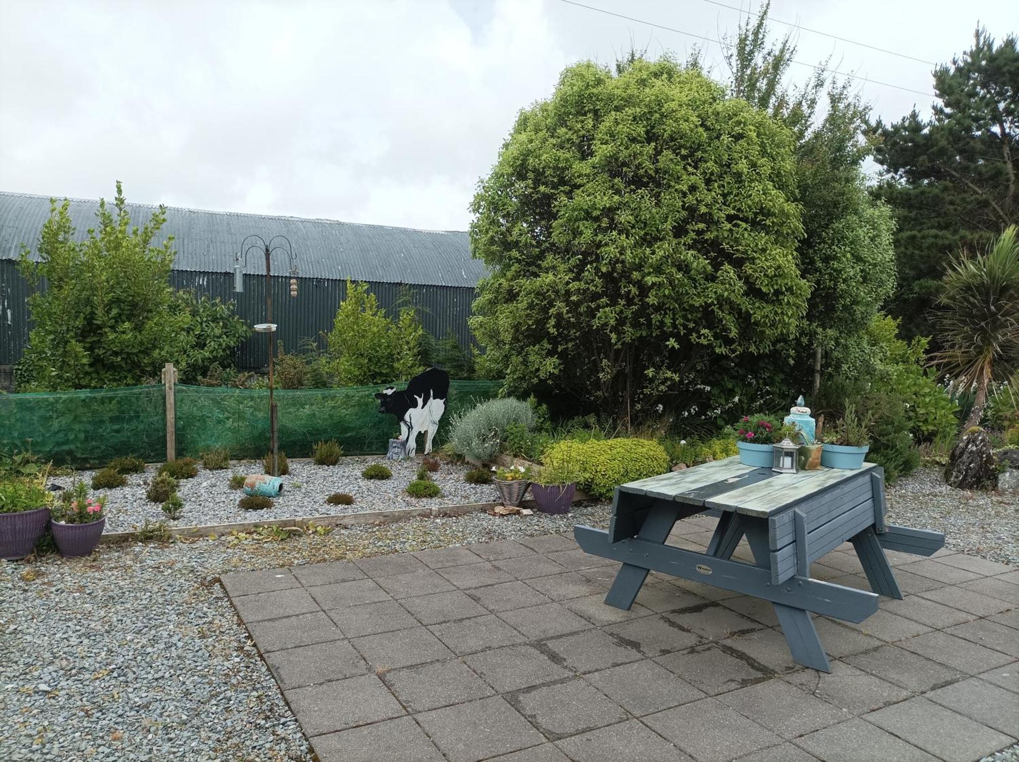 Clifden Wildflower Cottage - Clifden Countryside Lettings エクステリア 写真